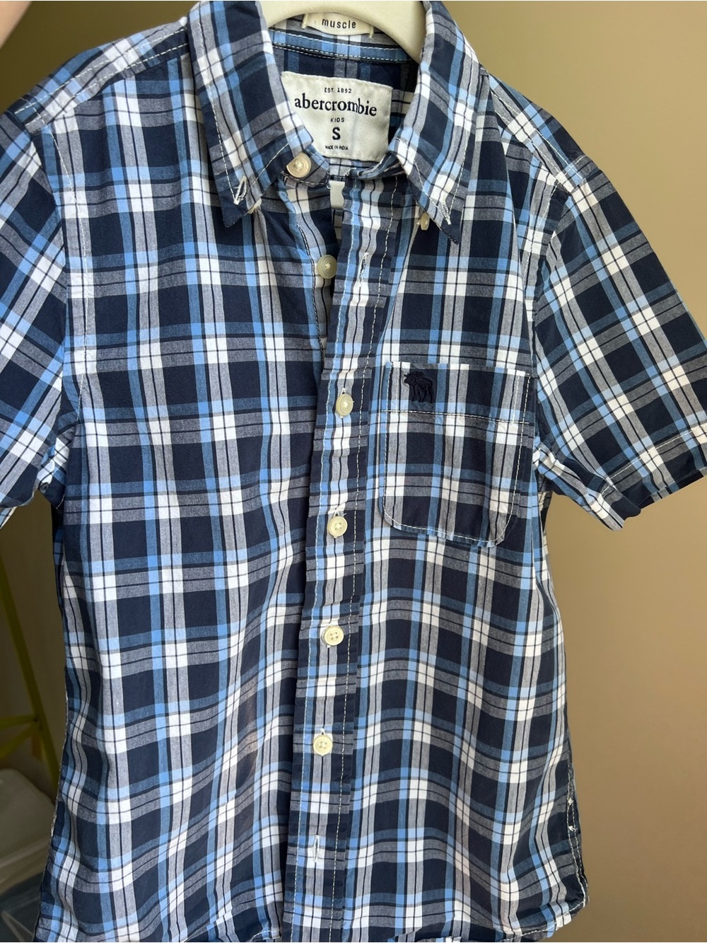 Abercrombie Kids Blue Plaid Button-Down Shirt - Small